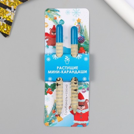 Growing gift pencils mini "blue spruce + pine" set 2 pcs.