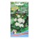 Patisson seeds "Polo", 6 pcs