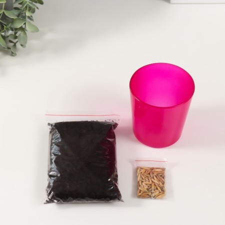 Set for growing plants "grow grass" pink
