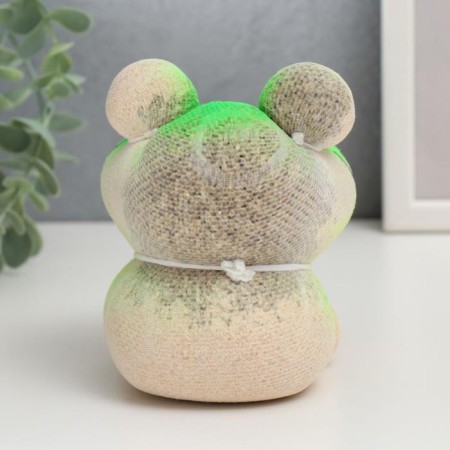 Growing gift Eco -Zhizhivchik "Frog Novik" mix-2