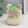 Growing gift Eco -Zhizhivchik "Frog Novik" mix