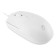Mouse call 147m white optical (2000dpi) USB (4but)