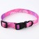 Set "Tenderness", fastener - Fastex, leash 2 m and collar 28-46 cm