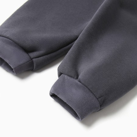 Costume: sweatshirt and pants crumb I Dino, height 80-86, dark gray-3