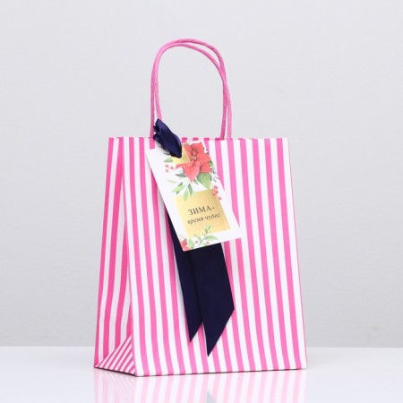 Package gift craft "Winter time of miracles" 18 x 22.3 x 10 cm-2