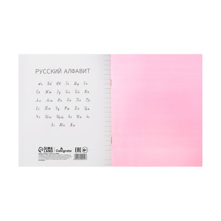 Notebook 12 sheets in the Calligrata "Red" line, plastic cover, with alphabet, OFSET block-4
