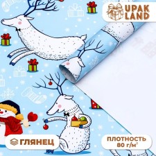 Glossy packaging paper 