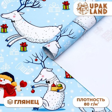 Glossy packaging paper "Frosty day!", 70 x 100 cm