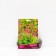 Heichera (Heuher) "Blood-red spendens", 1 pc, rr I, spring 2025