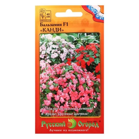 Balzamin flowers "Kandy", F1, mixture, 10 pcs