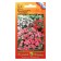 Balzamin flowers "Kandy", F1, mixture, 10 pcs
