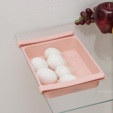 Shelf for eggs in the refrigerator, suspended, 12 cells, 26 × 17 × 5 cm, color mix-11