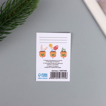 Postcard with seeds "grow itself" "for you" 5*7cm-2
