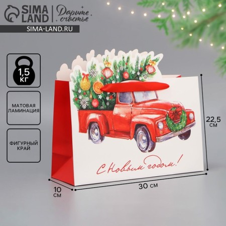 Gift package "I hurry to you", 30 x 25 x 10 cm, new year