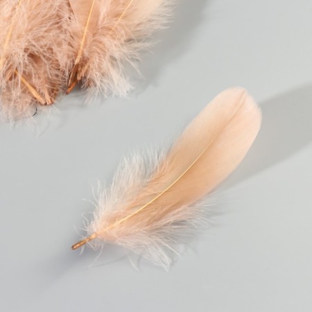 A set of feathers of the goose 13-18 cm, 20 pcs, light brown-3