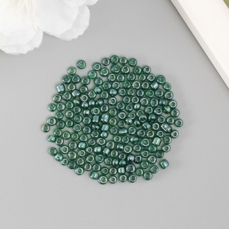 Beads "Zlatka" 08/0 10 g,-2