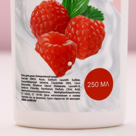 Gift set of cosmetics “Inspecting beauty!”, Shower gel 250 ml and bath foam 250 ml, raspberry aroma with cream, pure happiness-6
