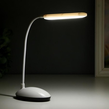 Lamp table sensor "School" 3 modes LED 6W USB MIX 11x6.5x37cm Risalux-2