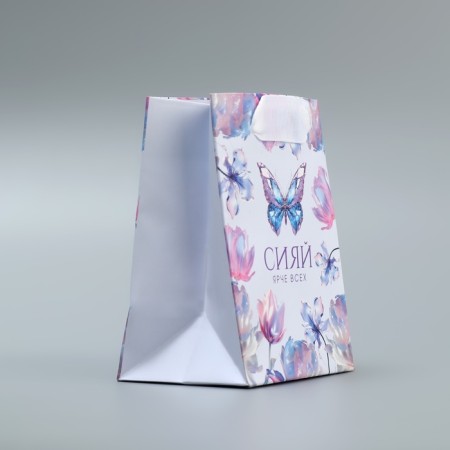 Gift Package Laminated, Packaging, “Shine”, 9 x 12 x 6.5 cm-2