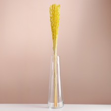 Set of dried flowers 