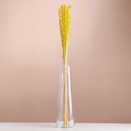 Set of dried flowers "Raigrace", banch 21 pcs, length 60 (+/- 6 cm), yellow
