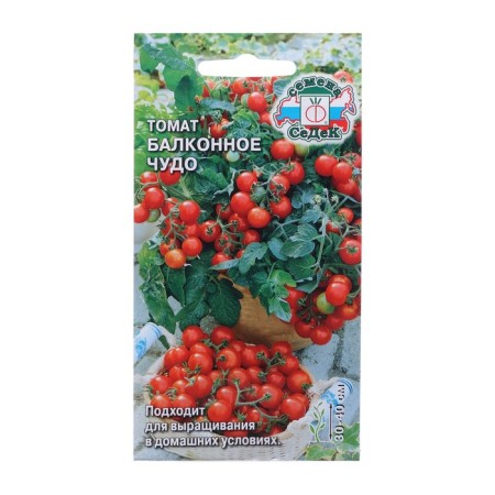 Seed Tomat "Balcony Miracle", Tsv/P, 0.1 g