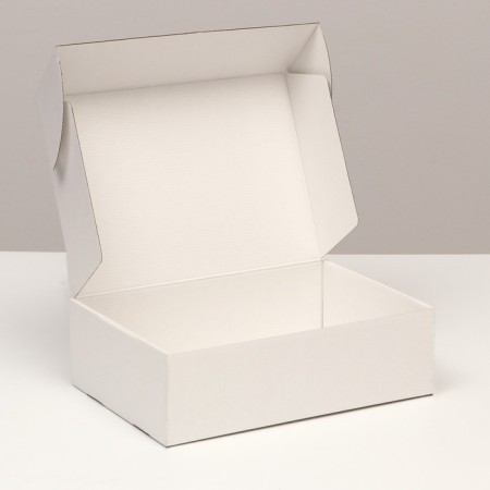 Self -charged box, white, 31 x 22 x 9.5 cm set 5 pcs-3