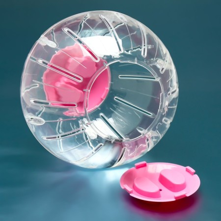 Ball for rodents Carno, 18.5 cm, pink-1