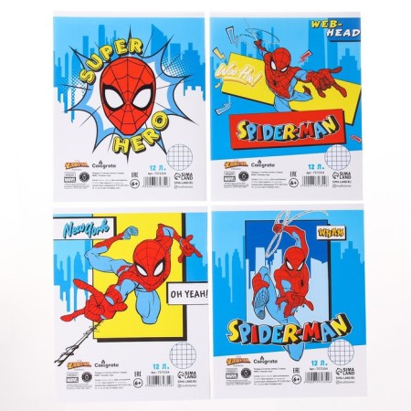Notebook in a cage 12 sheets, 4 types of mix, cover coated paper, spider-man-4