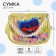 Children's bag on the valve, 6x12x16 cm, adjustable belt, yellow mix