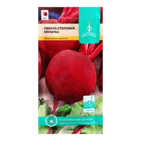 Beets "mulatto", ts/p, 2 g-2