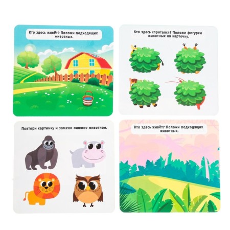 Developing set of "studying animals"-5