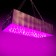 LED phyto -light for greenhouses and home plants "Angha" 216W