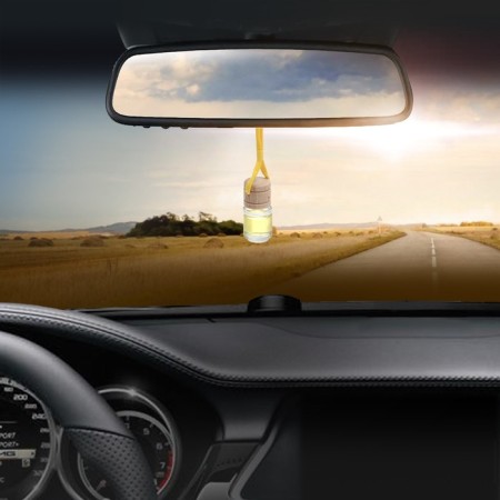 Flavor on the mirror in the bottle "ECH" lemon-2