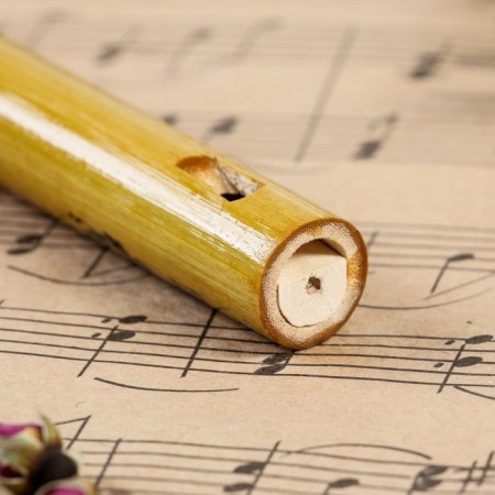 Flute Music Life, 24 cm, 6 holes, tonality C-2