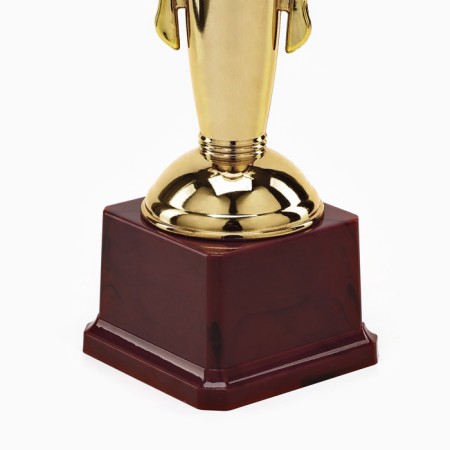 Cup 181b, award figure, gold, plastic stand, 28 × 14 × 7 cm-4