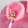 Panama Panam for a girl "cat", +ears-pinks, pink color, rn 54