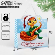 Gift package 