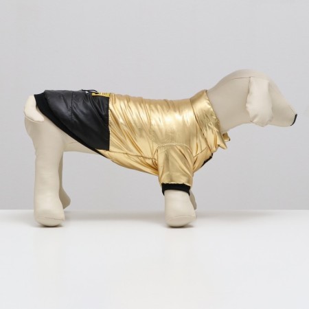 Dog jacket "Cosmonaut", size 16, black-gold (DS 40, Osh 34, OG 48 cm)-1