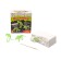 Board game "Excavations. Set of young paleontologist ", 5 dinosaurs