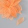 Leaves skeletoned for creativity "orange" set 20 pcs h = 6-6.5 cm