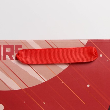 Gift Laminated Vertical Package, Packaging, Mars, Ml 23 x 27 x 11.5 cm-3