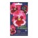Flowers of Viola "Ruby Rose", 5 pcs,