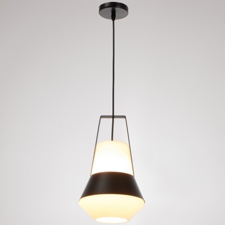 Lamp Bayerlux 1653/1bk E27 40W Black 25x26x40-135 cm-1