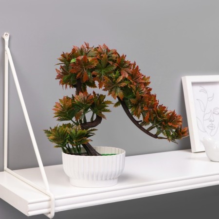 Bonsai in the pot "Ostanist tree" 10x22 cm, mix-3