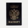 Cover for passport, black color