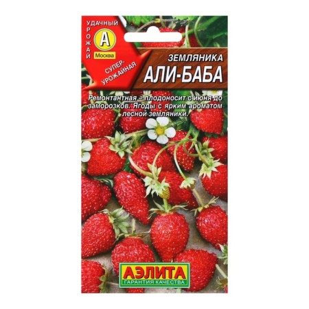 Strawberries "Ali Baba" repairman, 0.04 g