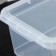 Storage container with a Palm lid, 2 l, 19 × 15.3 × 9.8 cm, transparent