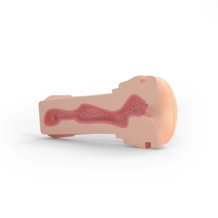 Sleeve for the masturbator Mystim o (h) push me vagina-1