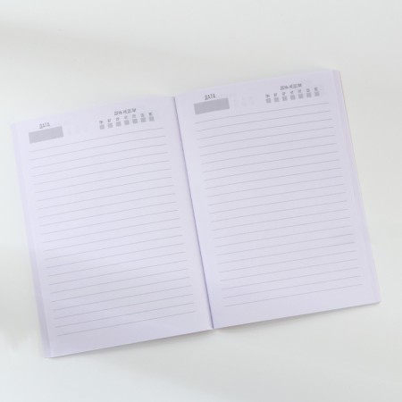 Diary in a thin cover A5, 80 liters "Mail"-2